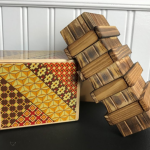 Bright Minds Puzzle Box